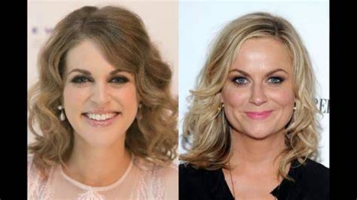 Amy Poehler plastic surgery (27) Celebrity plastic surgery online