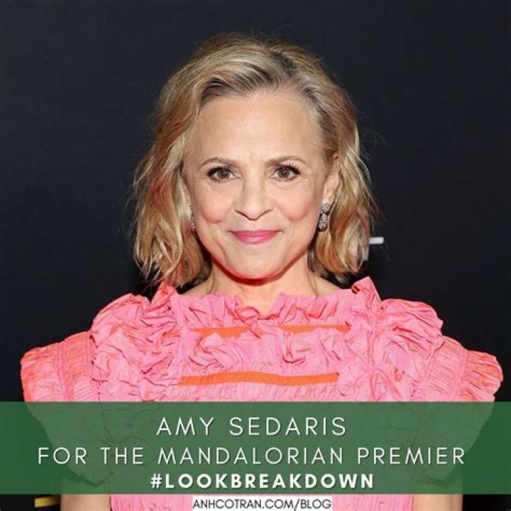 Amy Sedaris Biography, Height & Life Story Super Stars Bio