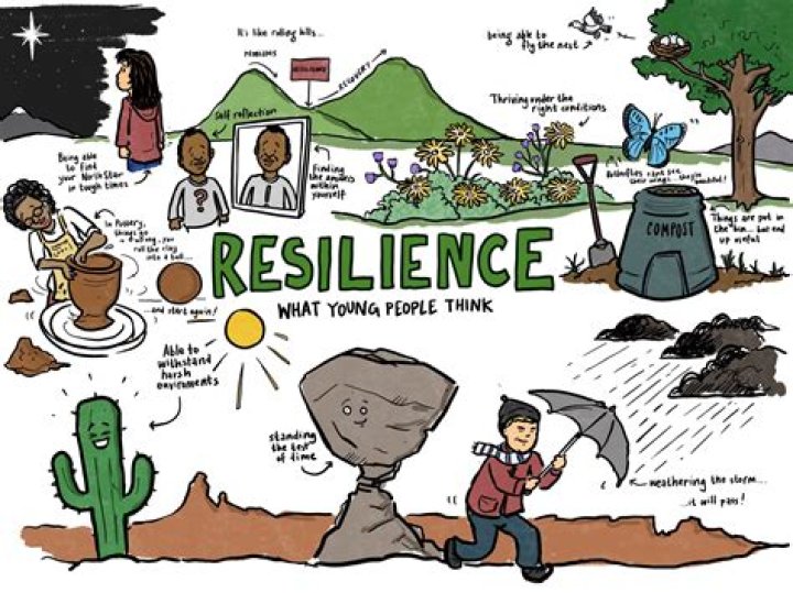An Exploration Of Advocacy, Resilience, And Impact