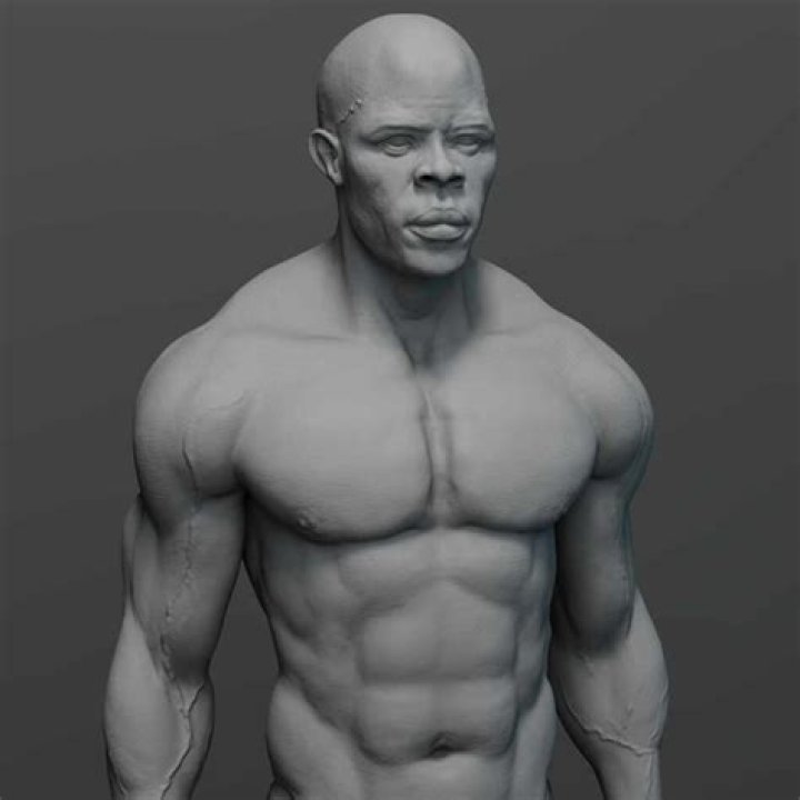 Anatomy study djimon hounsou ZBrushCentral