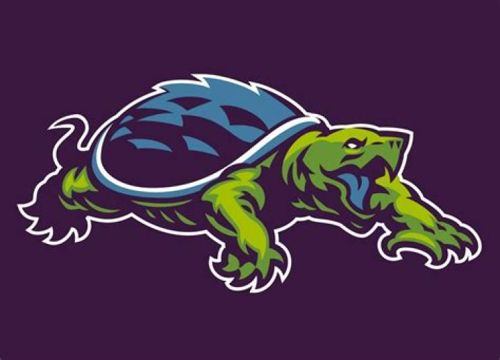 angry View Angry Snapping Turtle Cartoon Pictures