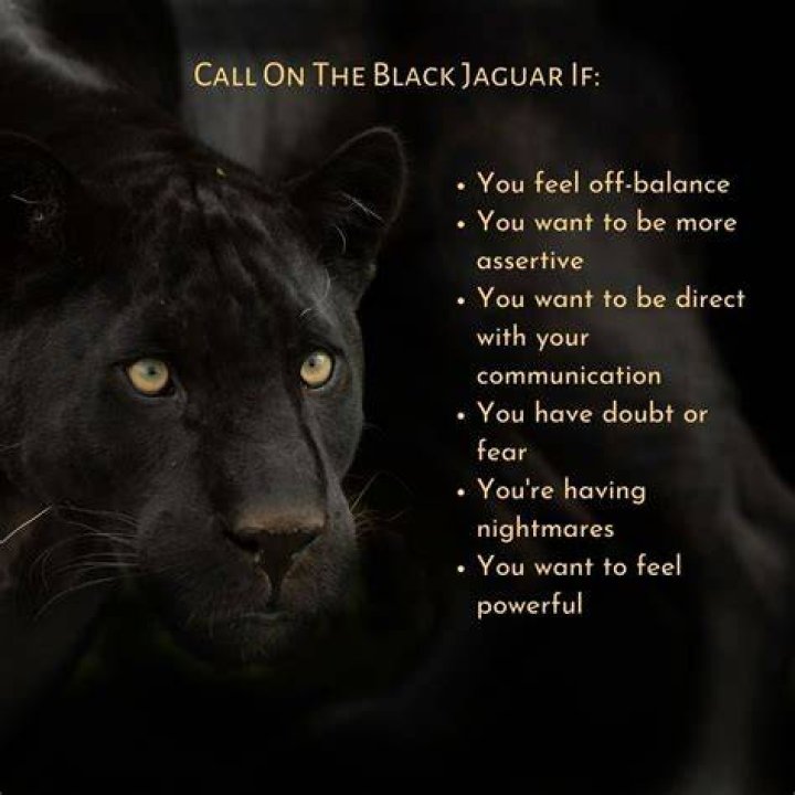 Animal Spirit Guides Black Jaguar Balance Sarah Merron