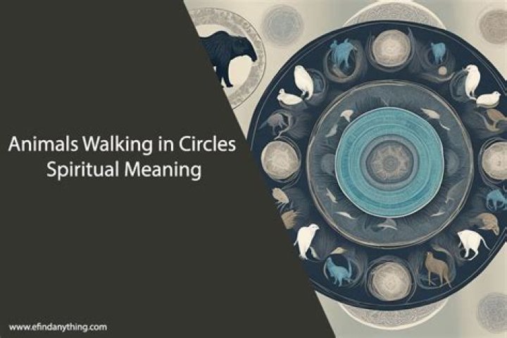 Animals Walking In Circles Spiritual Meaning