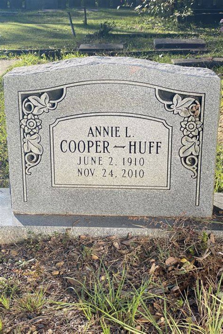 Annie Lee Cooper Alchetron, The Free Social Encyclopedia