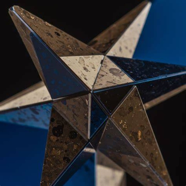 Anri Okita: Unveiling The Multifaceted Star