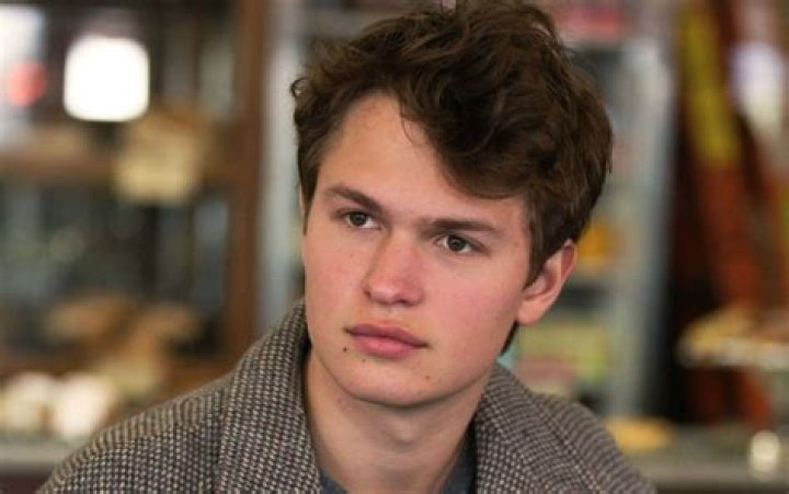 Ansel Elgort denies sexual assault allegations but apologises for