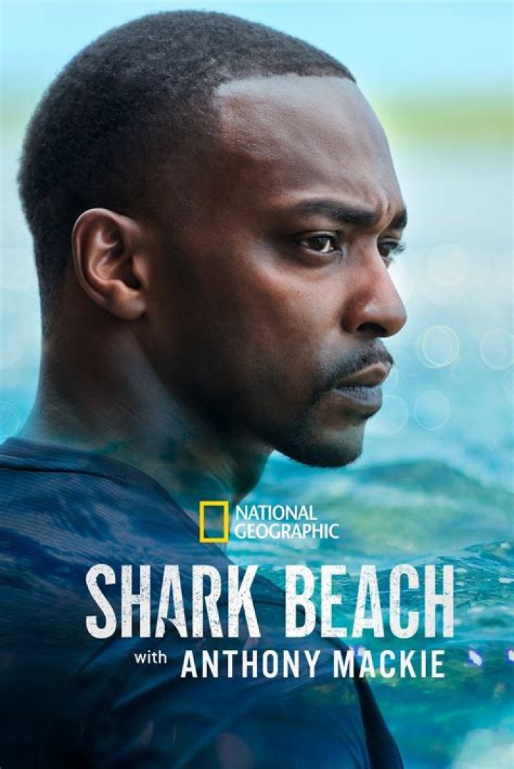 Anthony Mackie Wiki 2021 Net Worth, Height, Weight, Relationship