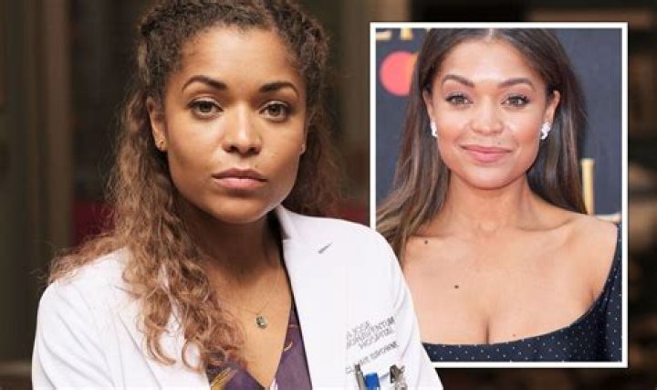 Antonia Thomas Cast In ABC Pilot &lsquo;Good Doctor&rsquo;; Bojana Novakovic In CBS