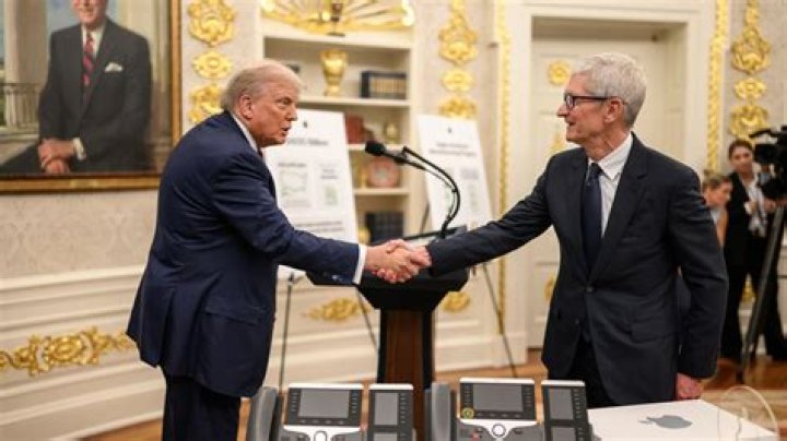 Apple CEO Tim Cook explains why you don't need a college degree to be