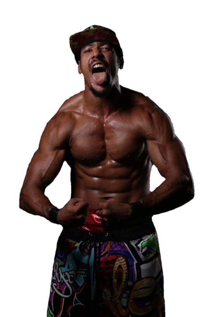 AR Fox Render by mvcvalli on DeviantArt