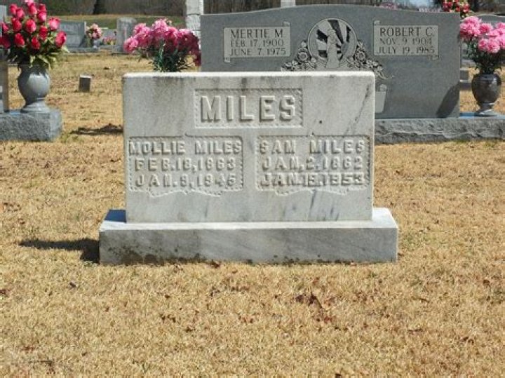 Archaeological Adventures With Mollie Miles