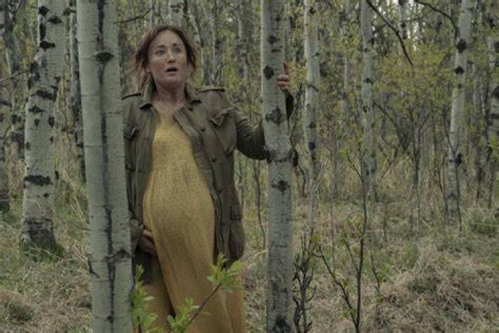 ASHLEY JOHNSON Wiki The Last of Us Fandom