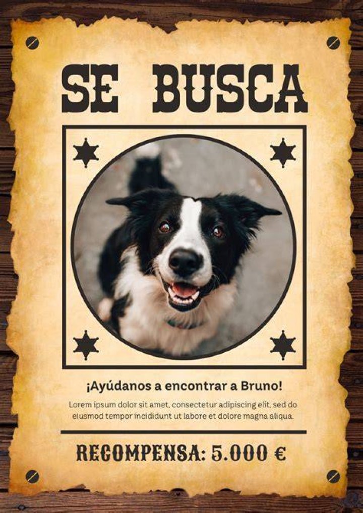 As&iacute; se divierten 'La Bronca', 'El Tambochi' y 'El Compa Ivan' detr&aacute;s de