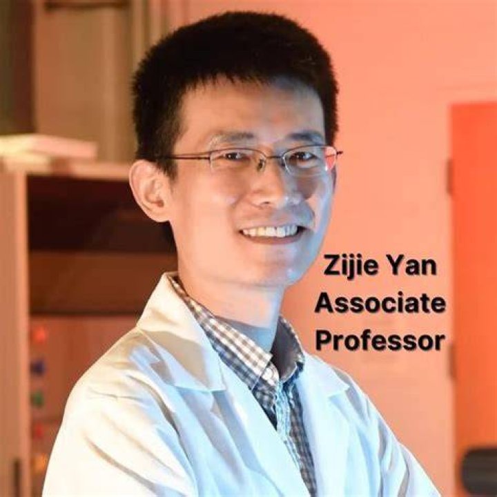 Associate Professor Zijie Yan Associate Professor Zijie Yan