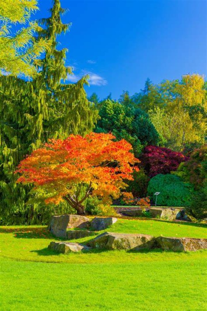 Autumn In Park Free Stock Photo Public Domain Pictures