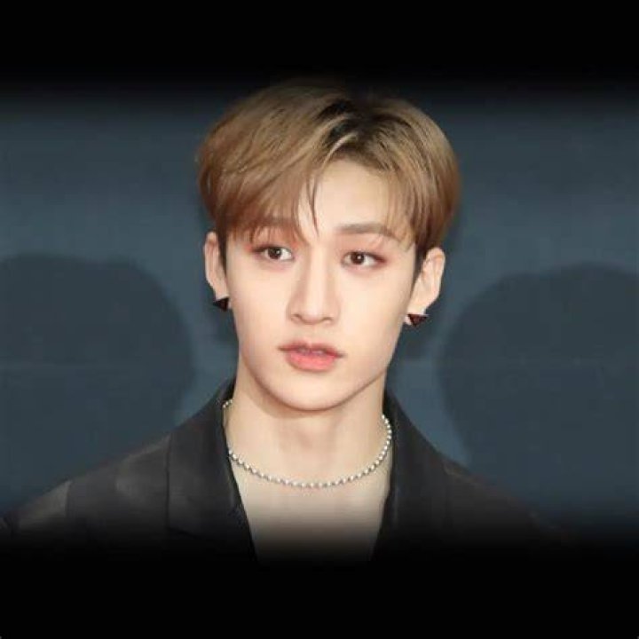 Bang Chan Age, Bio, Birthday, Family, Net Worth National Today