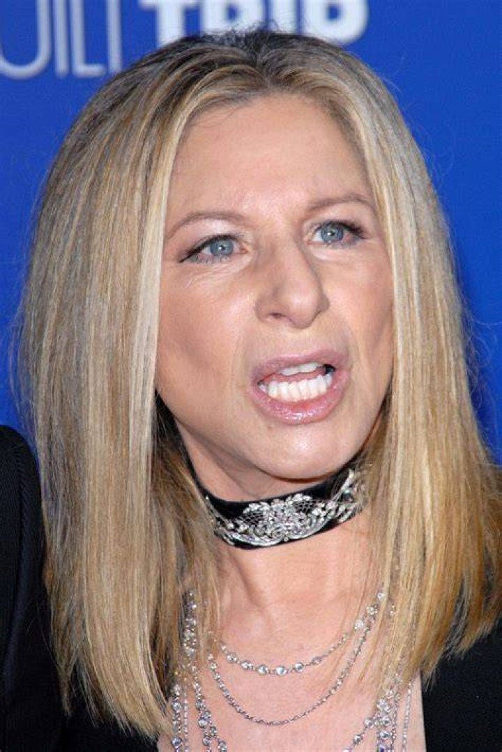 Barbra Streisand's 2 Husbands Meet James Brolin and Elliott Gould