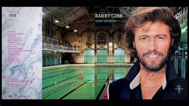 Barry and Stephen/eo Barry gibb children, Barry gibb, Bee gees