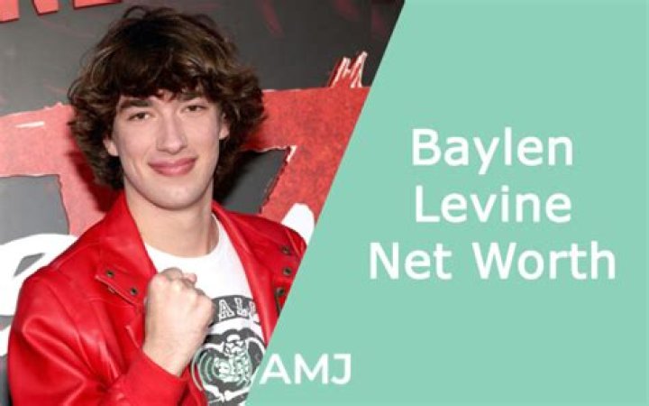 Baylen Levine Net Worth Full Name, Age, Nationality, Career