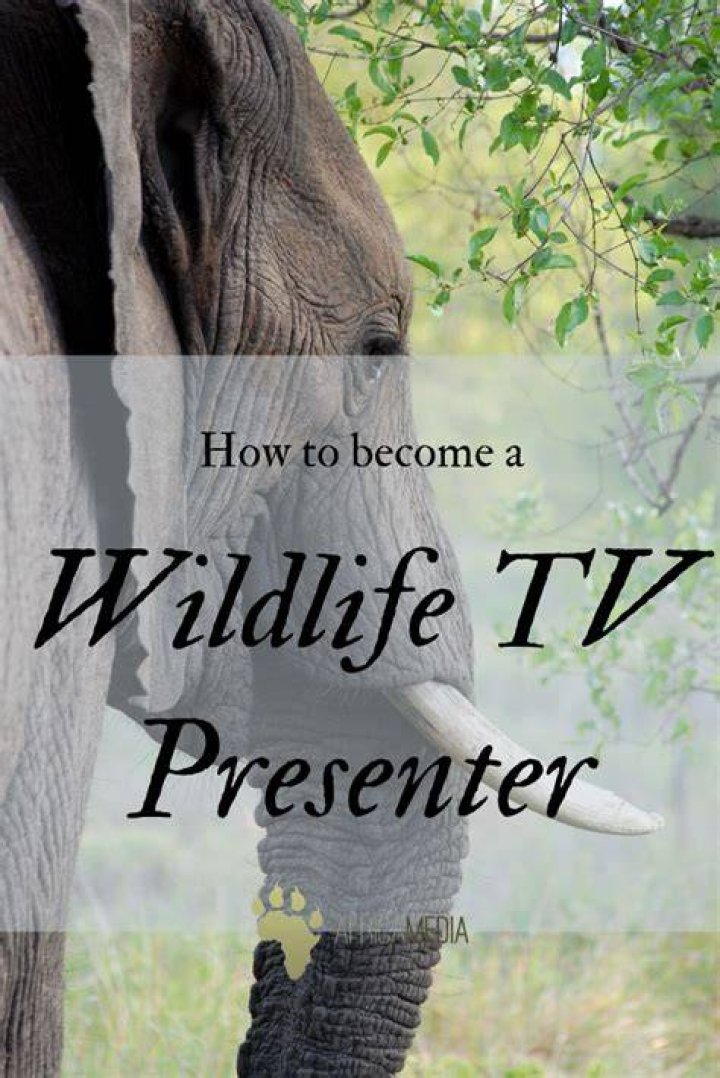 Be A Wildlife TV Presenter For Discovery Channel An Exciting