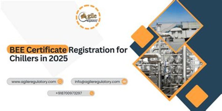 BEE certificate How to apply for or renew one in 2021? Briefly.co.za