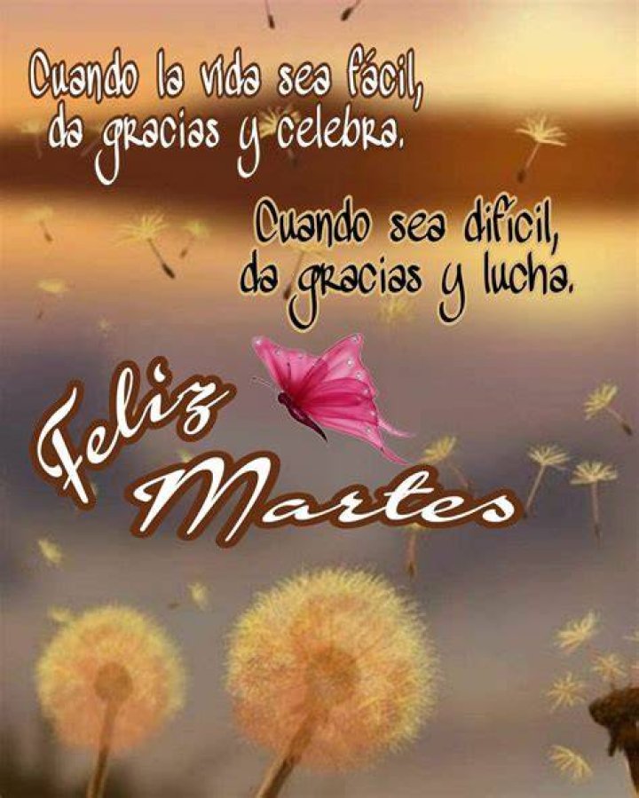 Bellas Tarjetas Feliz D&iacute;a de las Madres