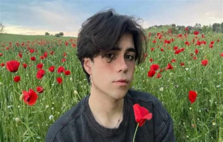 Benji Krol biography, top 9 facts about the blogger, personal life