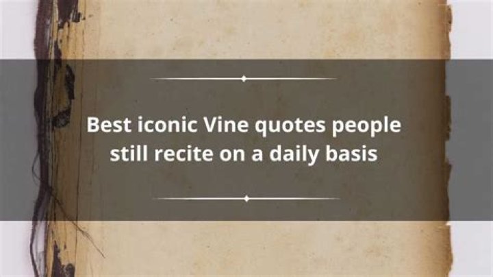 Best iconic Vine quotes people still recite on a daily basis Legit.ng