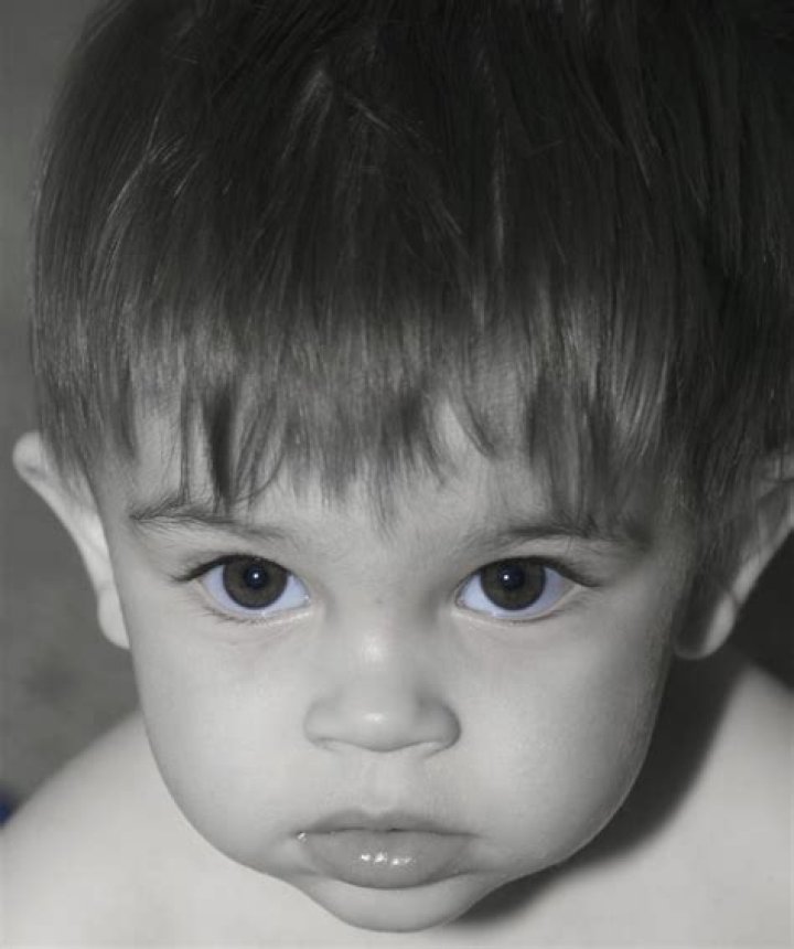 Big Brown Eyes Adam Vander Ark Flickr