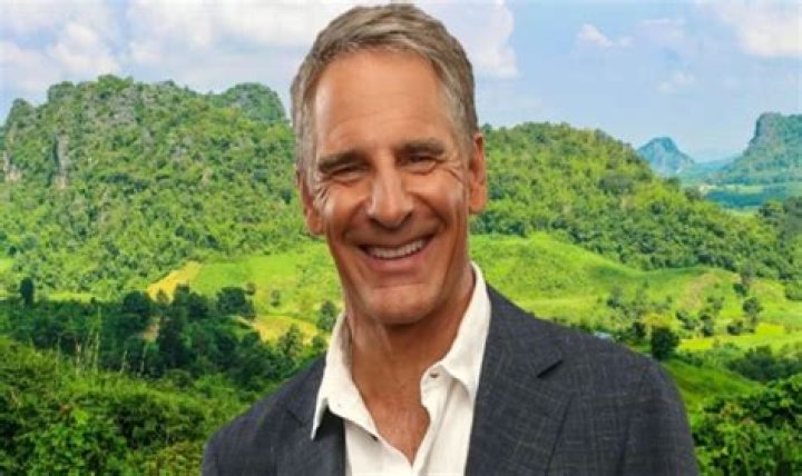 Bill Bakula Net Worth, Bio, Age, Height, Nationality, Relationship, wiki