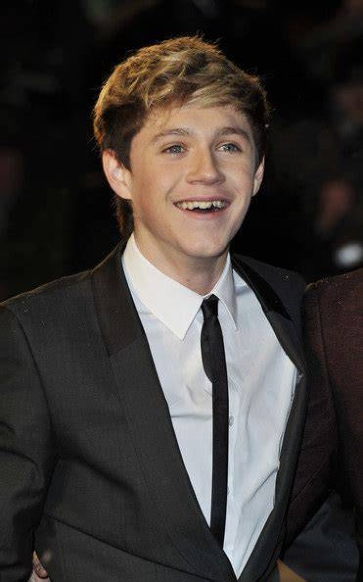 Biography of Niall Horan, One Direction Star