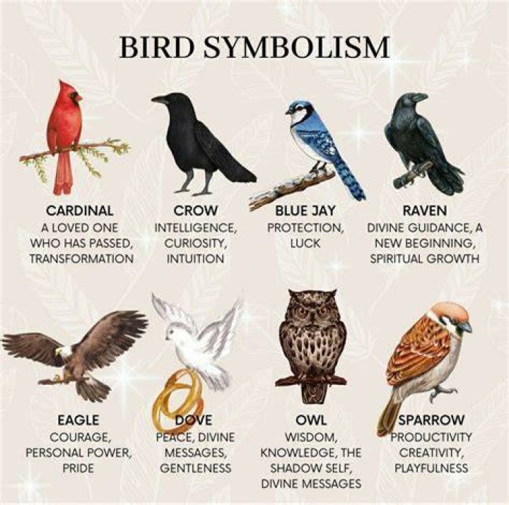 Bird symbolism & Meaning 26 Symbolic Meanings Explained Joyce Elliott