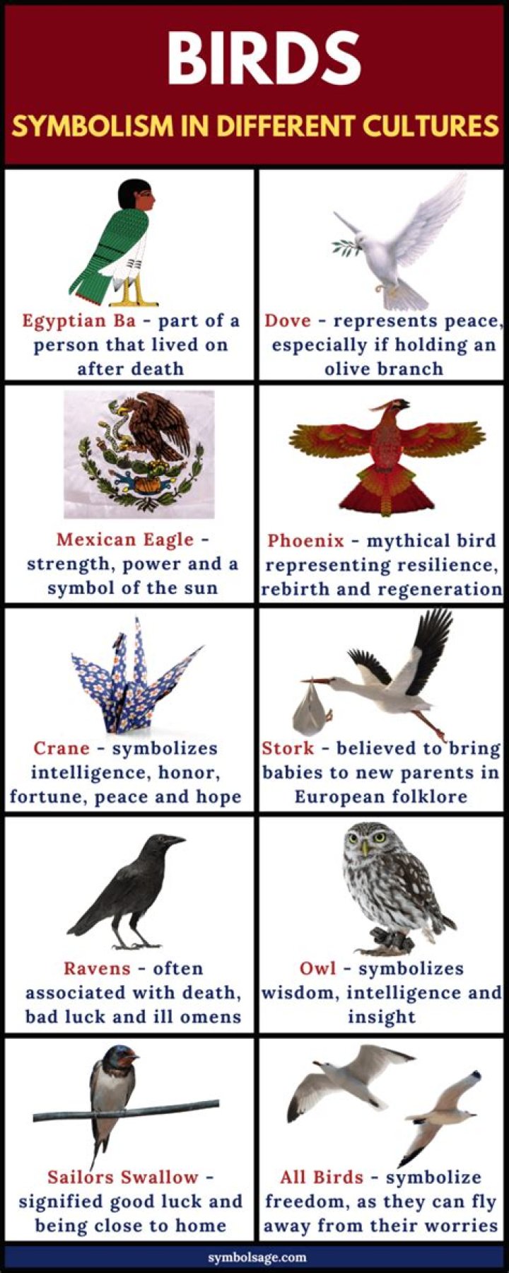Birds Symbolism and Myths Through the Ages Symbol Sage
