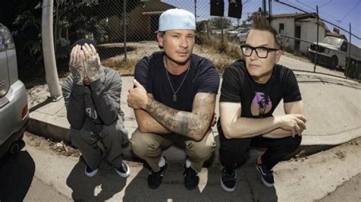 Blink182 Cancels Tour Due to Travis Barker's Health Issues
