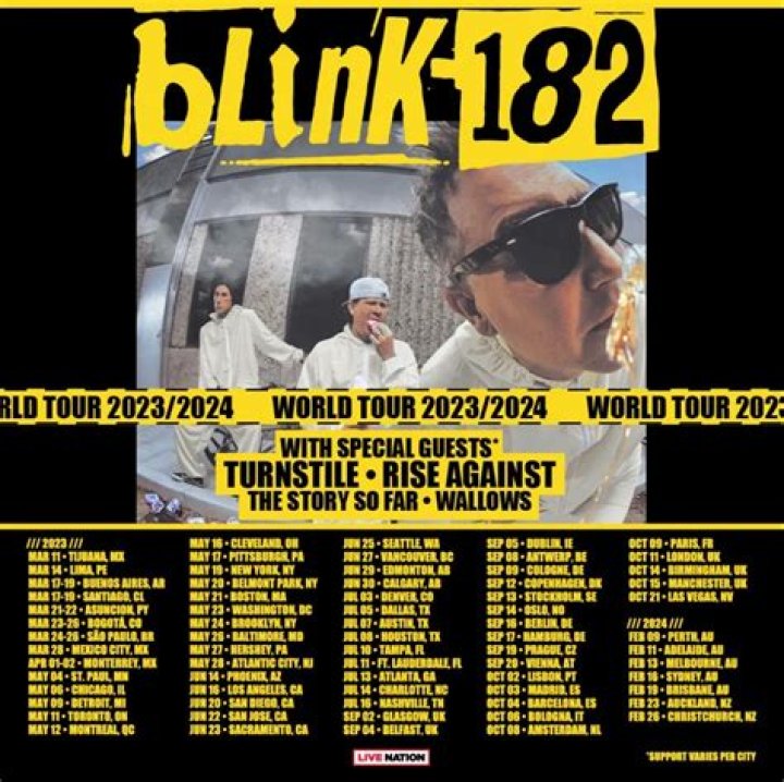 Blink182's story Tragic plane crash, tension and cancer diagnosis