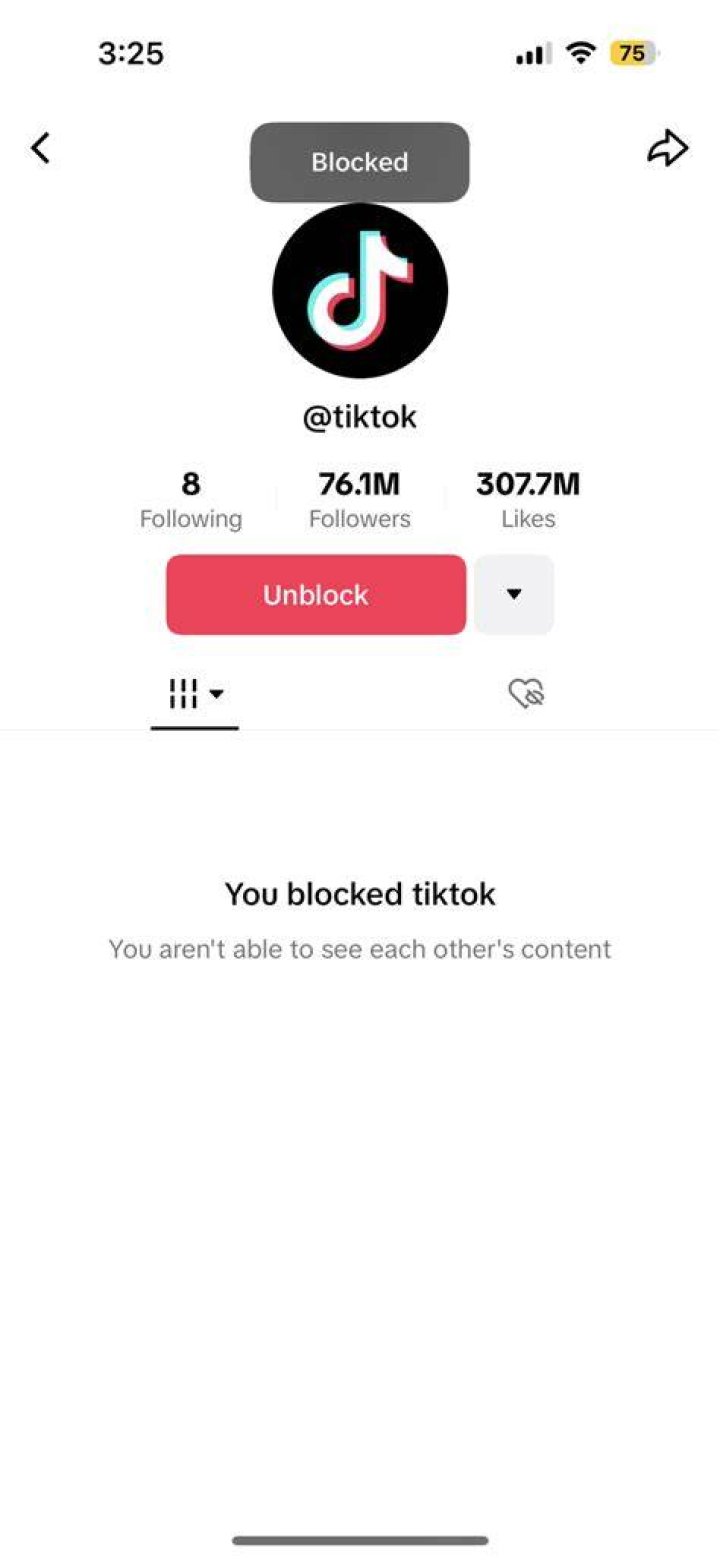 Blocking On TikTok After Profile View