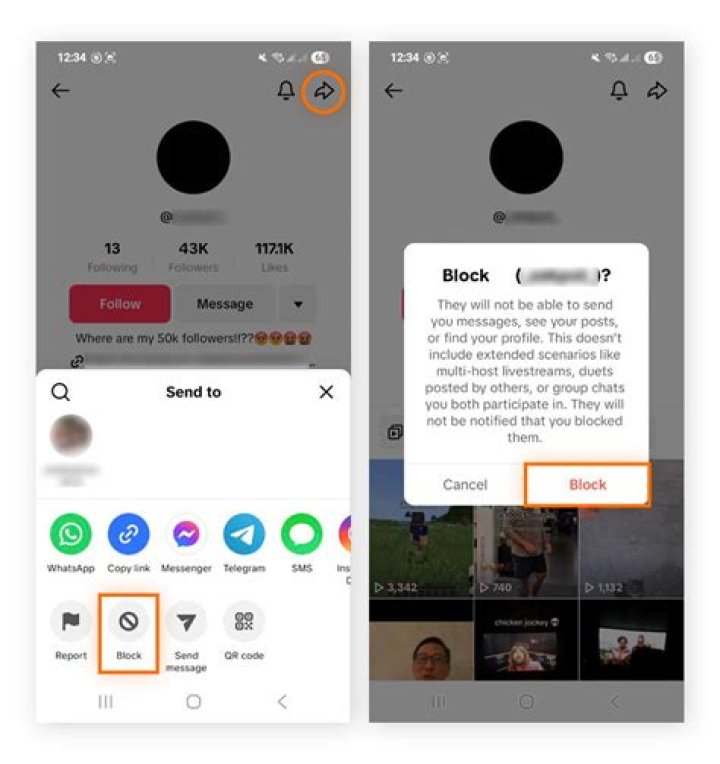 Blocking On TikTok & Profile Visibility
