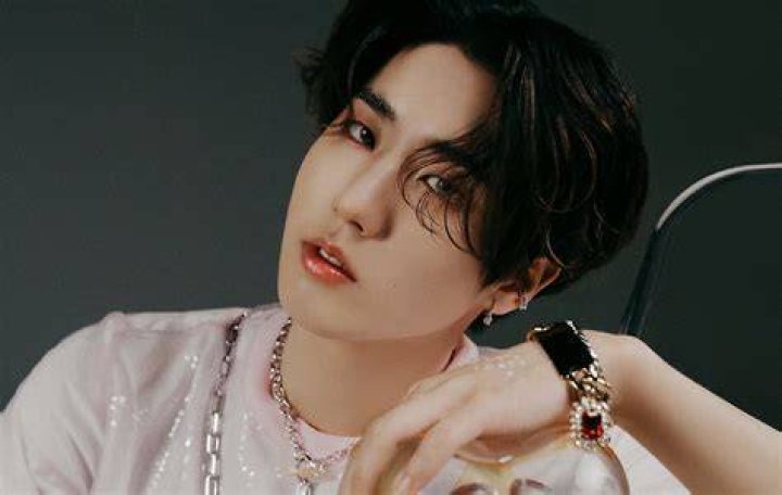 BlogPaper | Han Jisung - Bio, Age, Net Worth, Height, Single, Nationality, Body Measurement, Career
