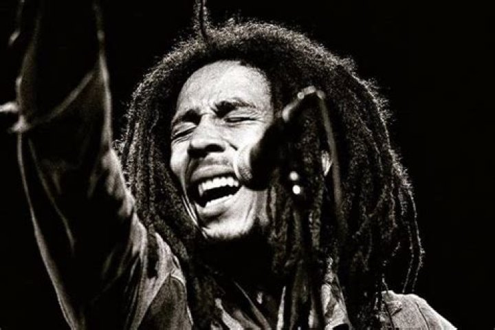 Bob Marley A Legacy Of Music And Activism