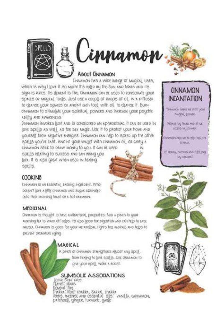 Book of Shadows Inspo Cinnamon Magic herbs, Witch herbs, Herbal magic