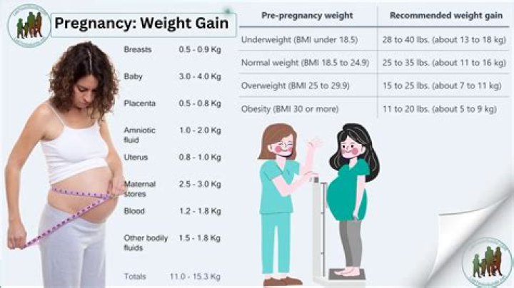 Brandy Norwood Weight Gain Is She Pregnant or Not In 2022?