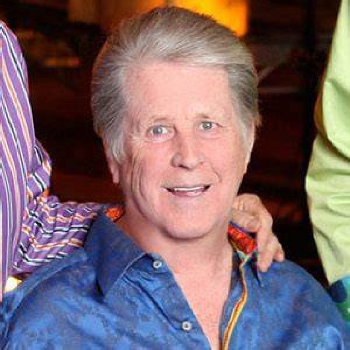 Brian Wilson Net Worth Brian Wilson's 2022 Earnings Potential and Net
