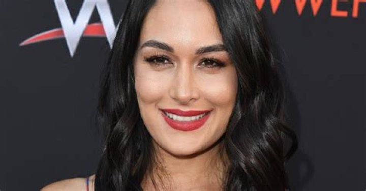 Brie Bella Proudly Shows Postpartum Belly On Instagram