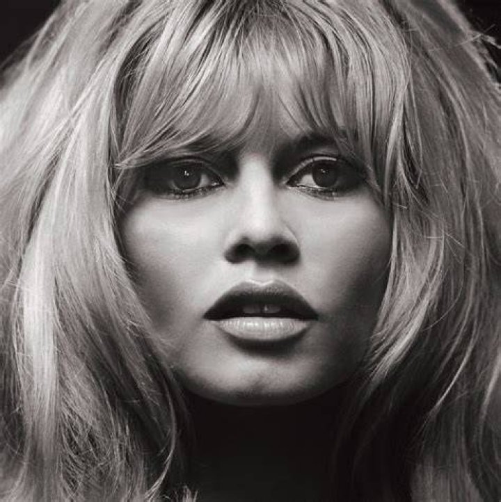 Brigitte Bardot &bull;&bull; 1965 Bridget Bardot, Brigitte Bardot Photos