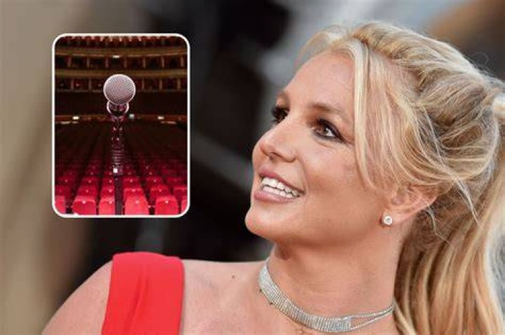 Britney Spears Speaks Her Mind in Six New Voice Notes Full Transcript