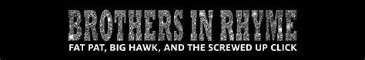 Brothers in Rhyme Fat Pat, Big Hawk, and the Screwed Up Click · Fat