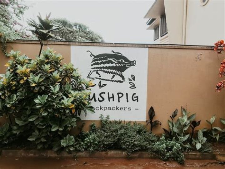Bushpig Backpackers Hostel Home Away from Home in Kampala, Uganda [A