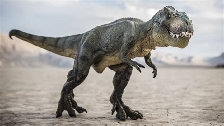 Buy Snap Attack TRex from Deluxebase. Hand Puppets for Kids
