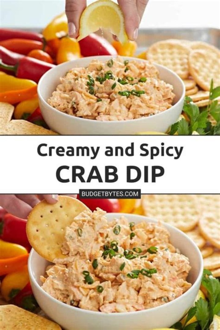 Cajun Crab & Shrimp Dip Mr. Make It Happen Recipe in 2021 She