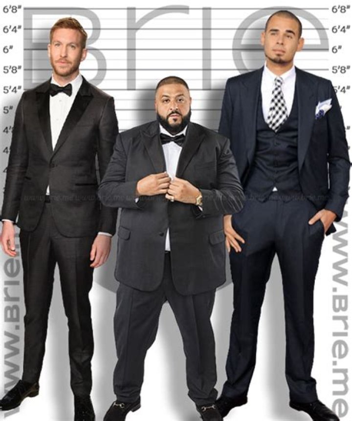 Calvin Harris Height Brie